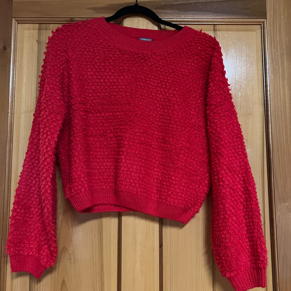 Charlotte Russe Red Crew Neck Sweater